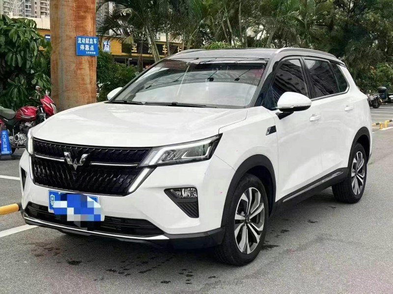 23年深圳五菱汽车星辰