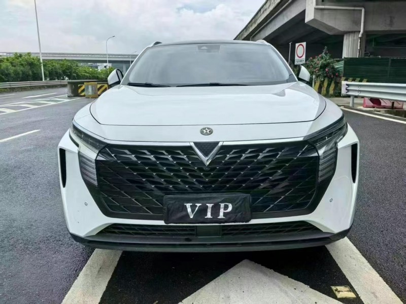 22年广州启辰大V