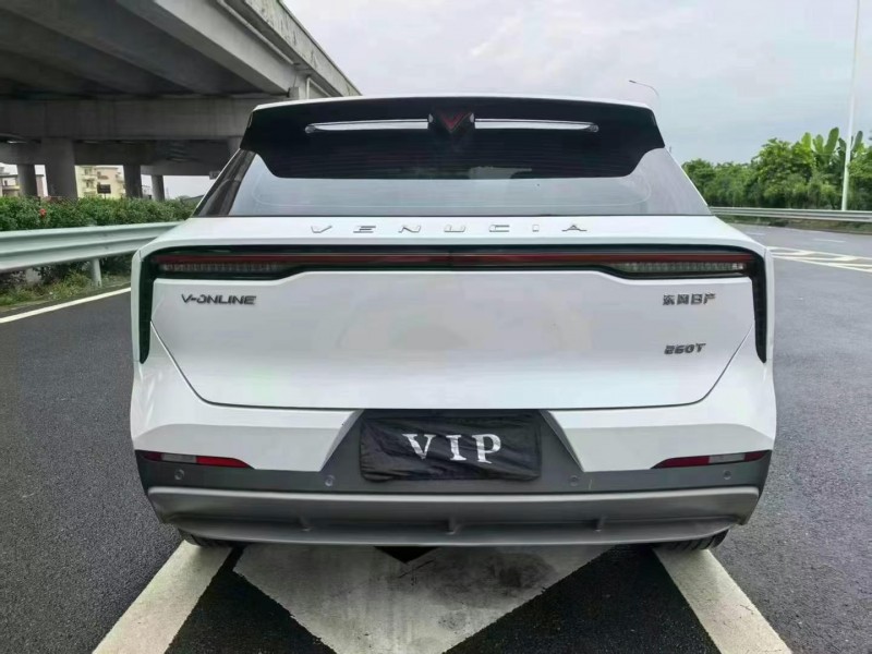 22年广州启辰大V