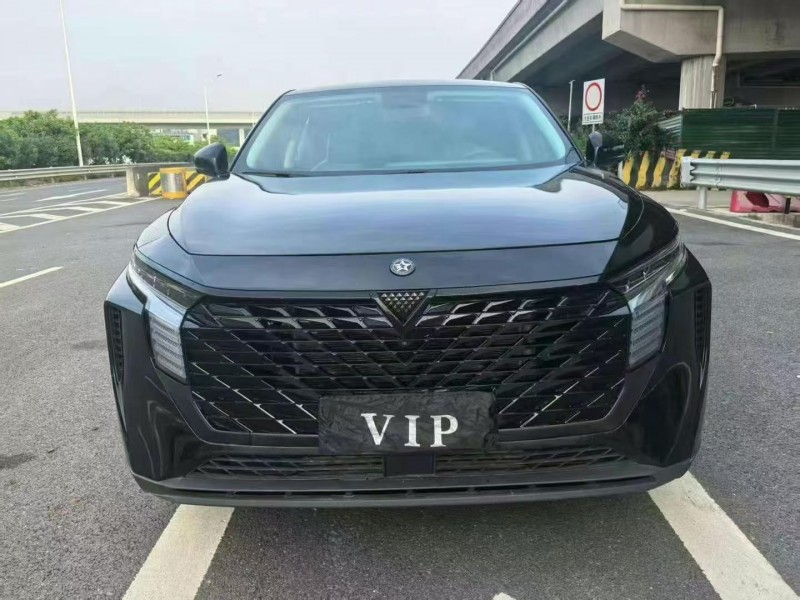 23年广州启辰大V