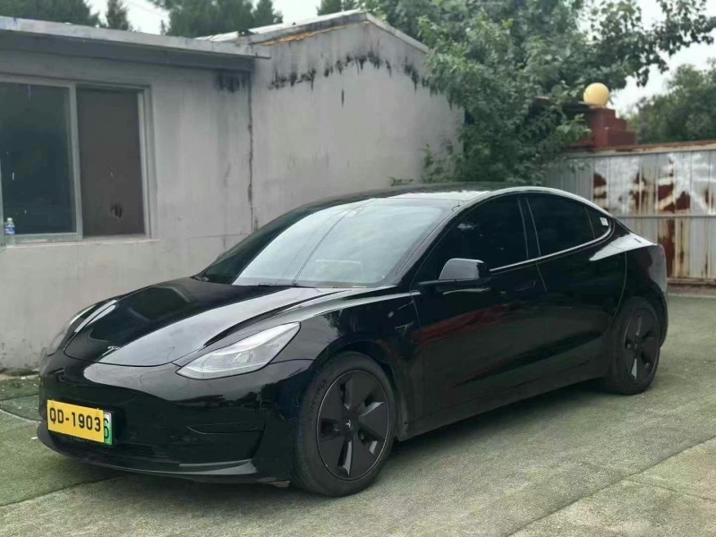 23年枣庄特斯拉MODEL 3