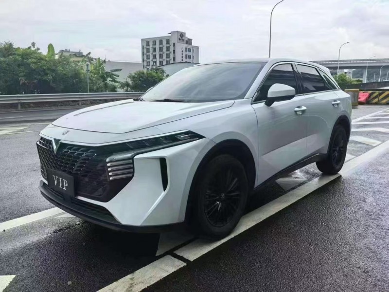 23年广州启辰大V