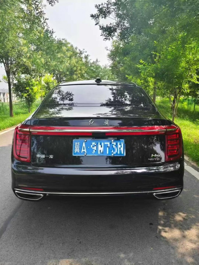 24年邢台红旗H9