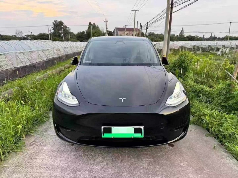 24年温州特斯拉MODEL Y