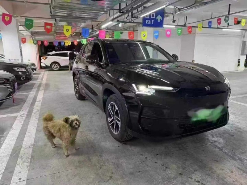 24年遂宁奇瑞捷途
