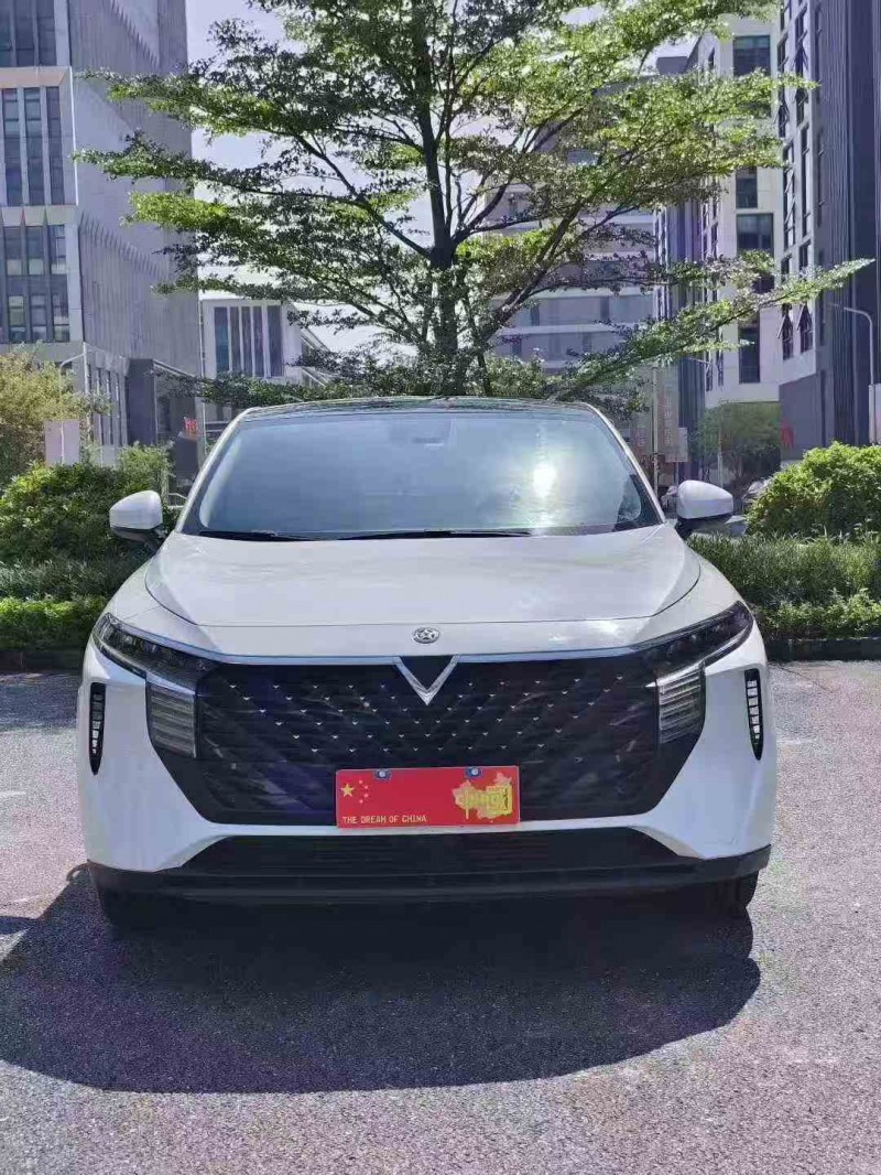 22年广州启辰大V