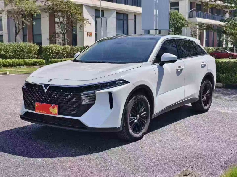 22年广州启辰大V