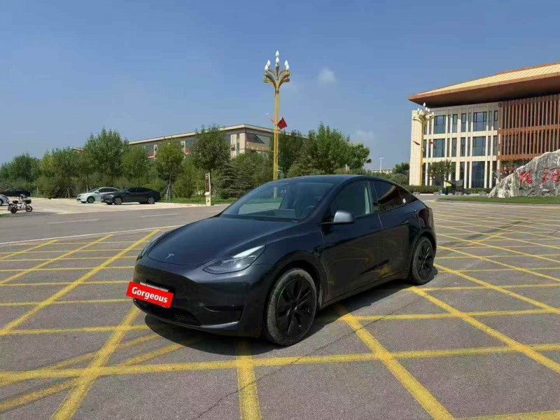 24年保定特斯拉MODEL Y