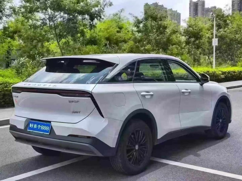25年湛江启辰大V