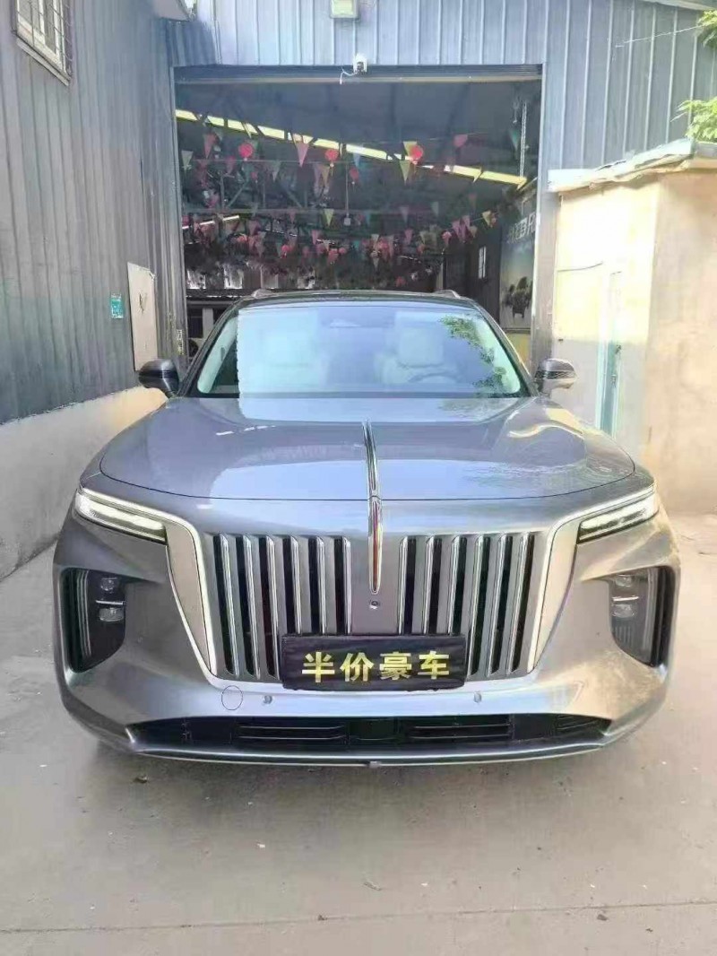 21年渭南红旗E-HS9