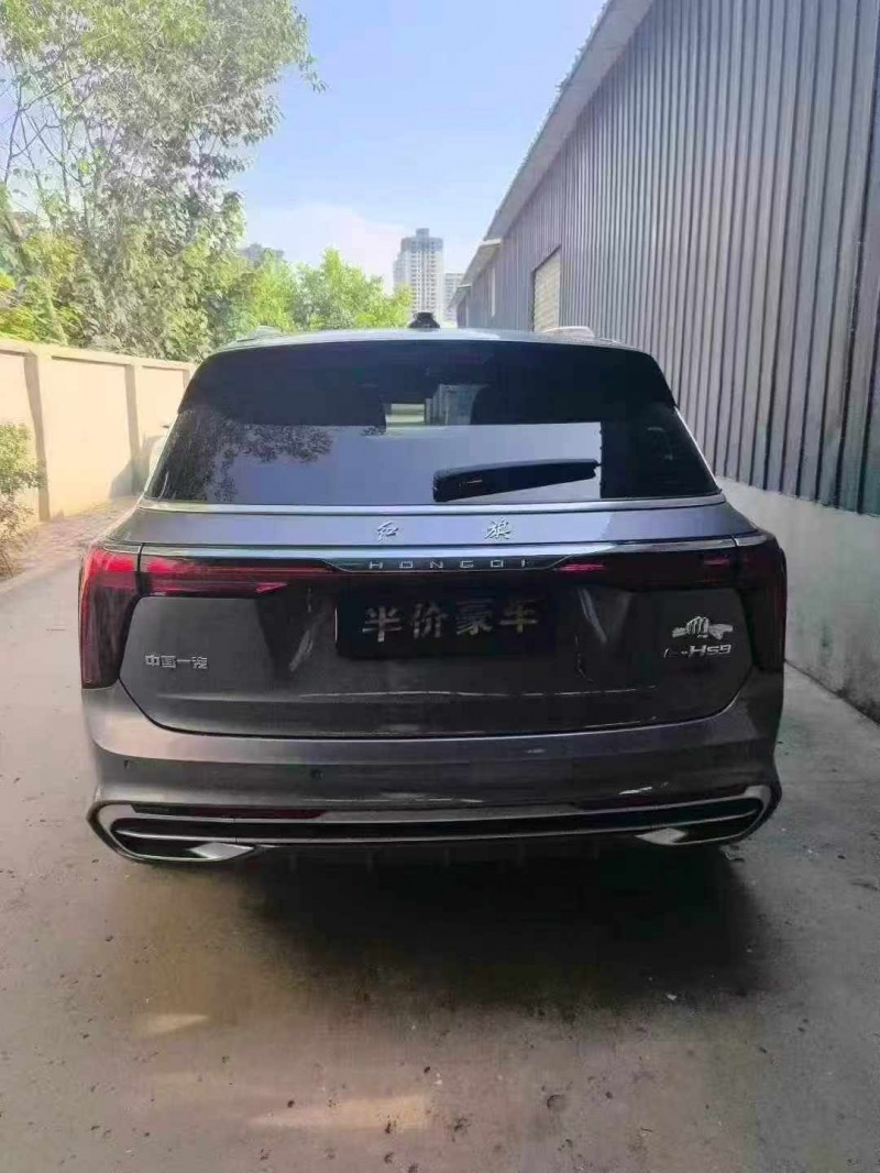 21年渭南红旗E-HS9