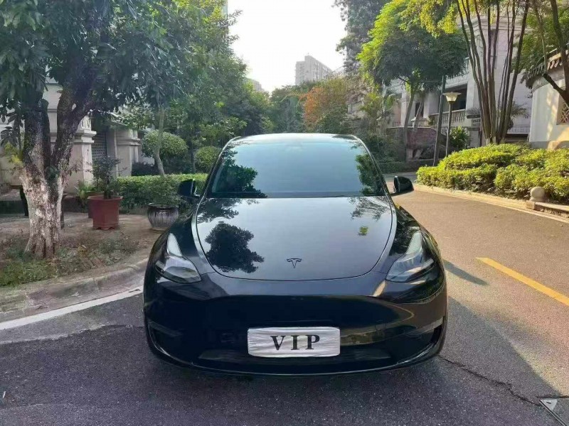 21年佛山特斯拉MODEL Y