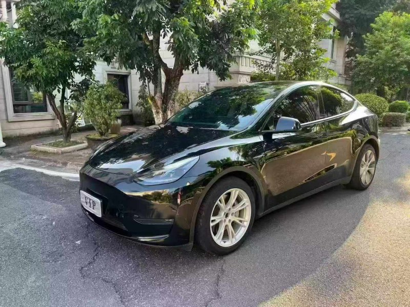 21年佛山特斯拉MODEL Y