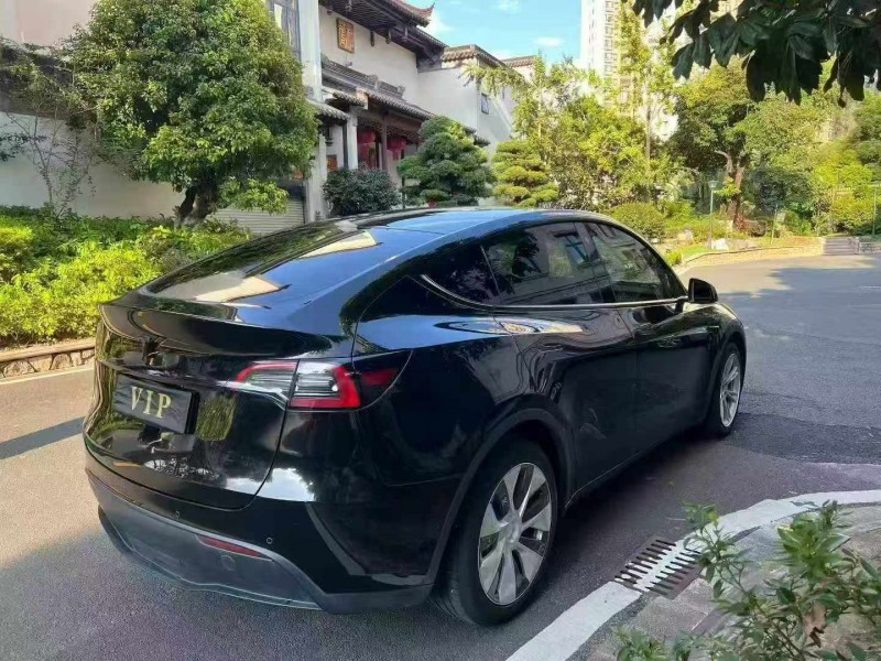 21年佛山特斯拉MODEL Y