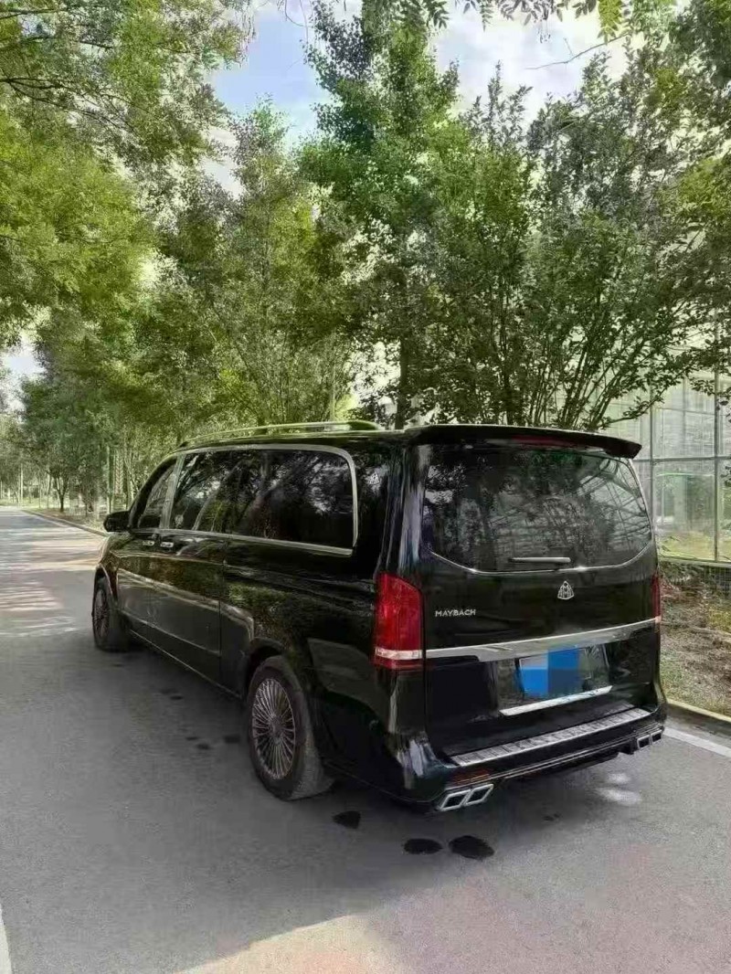 21年淄博奔驰威霆