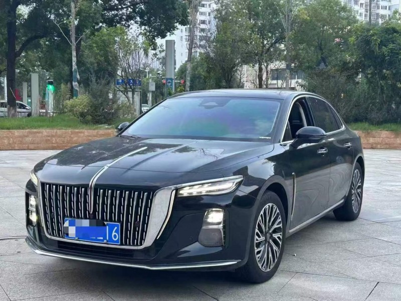 24年景德镇红旗H5