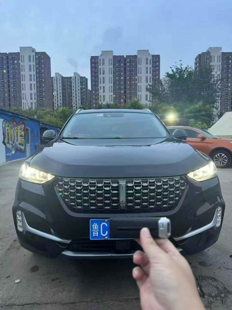 20年淄博长城汽车WEY VV6