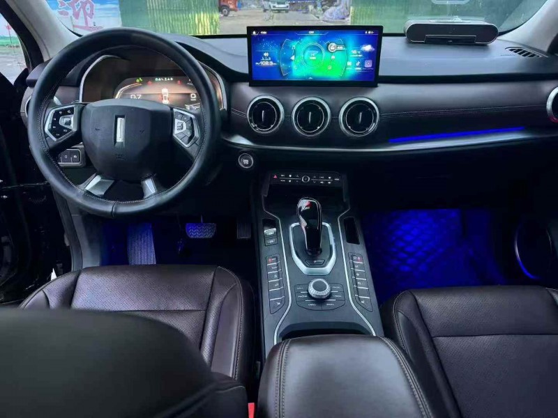 20年淄博长城汽车WEY VV6