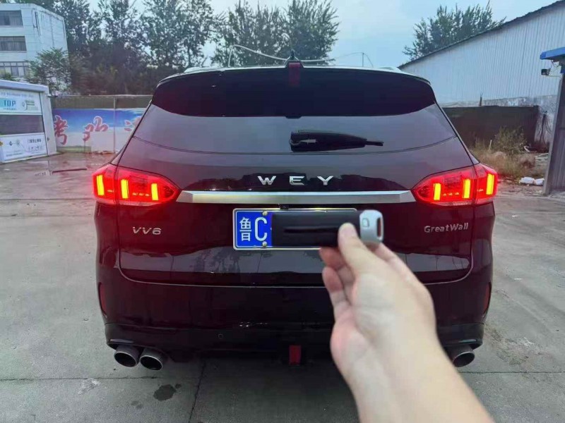 20年淄博长城汽车WEY VV6