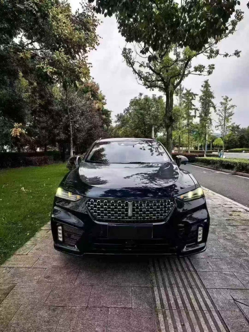 19年常州长城汽车WEY VV7