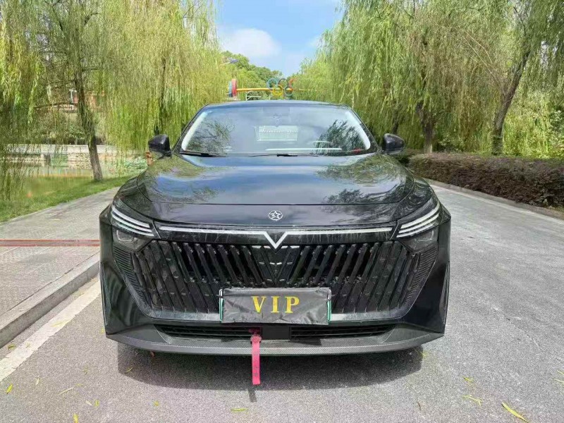 24年景德镇启辰大V