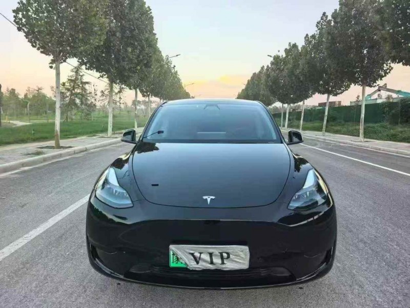 23年平顶山特斯拉MODEL Y