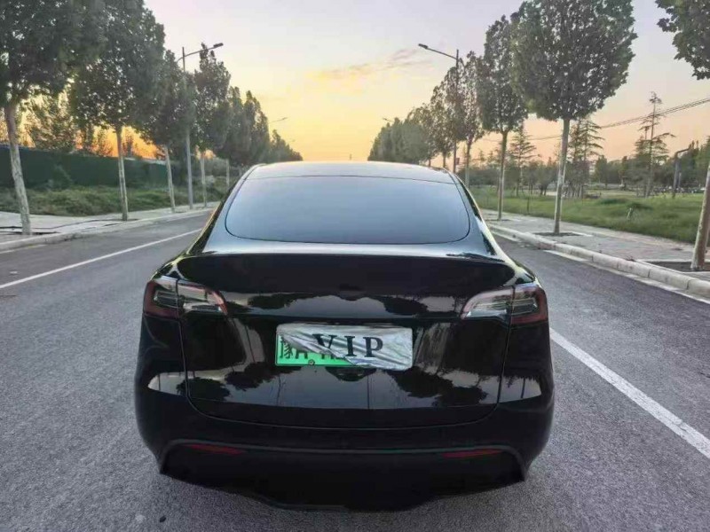 23年平顶山特斯拉MODEL Y