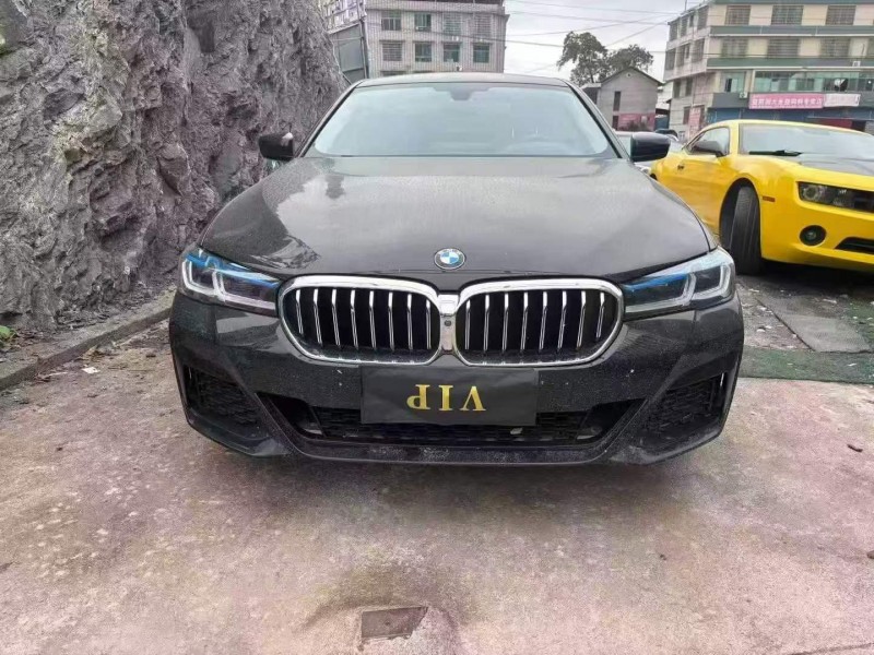 19年邵阳宝马5系