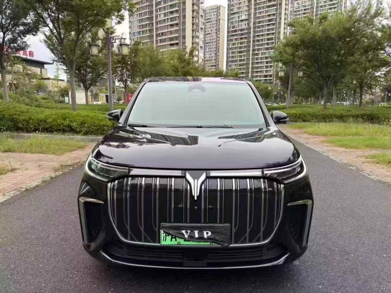 24年常州岚图汽车梦想家