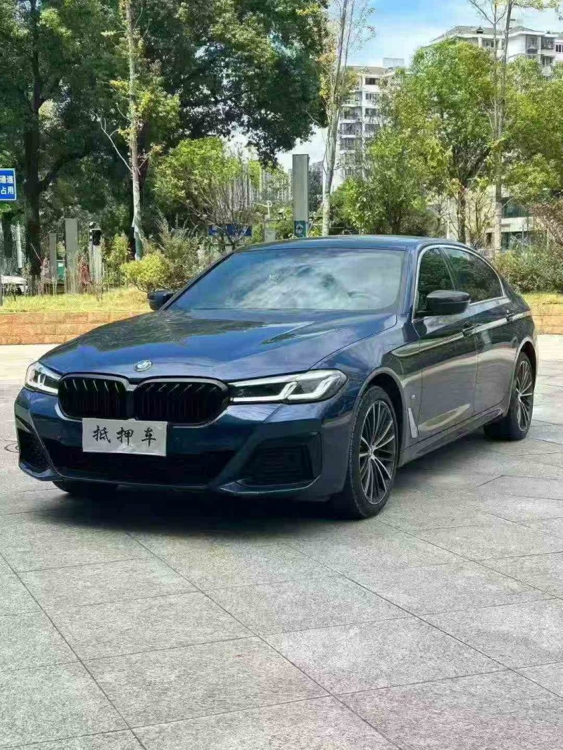 21年景德镇宝马5系