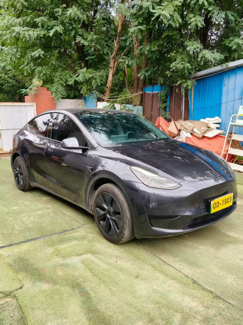 24年青岛特斯拉MODEL Y