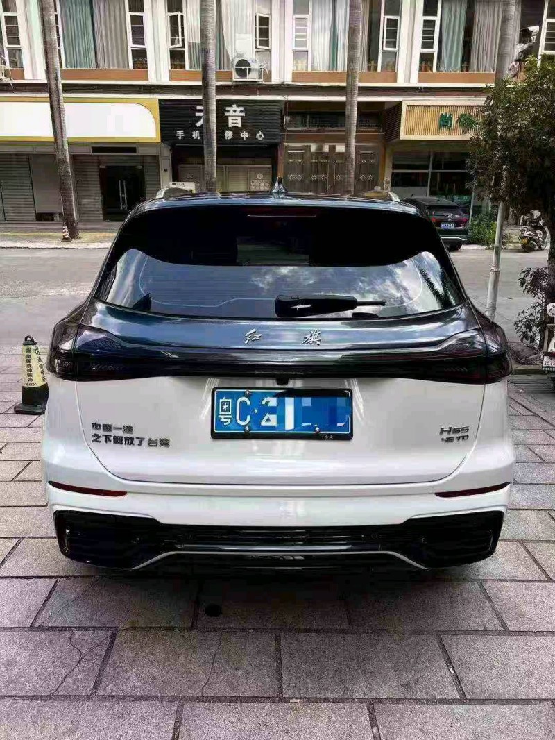 23年深圳红旗HS5