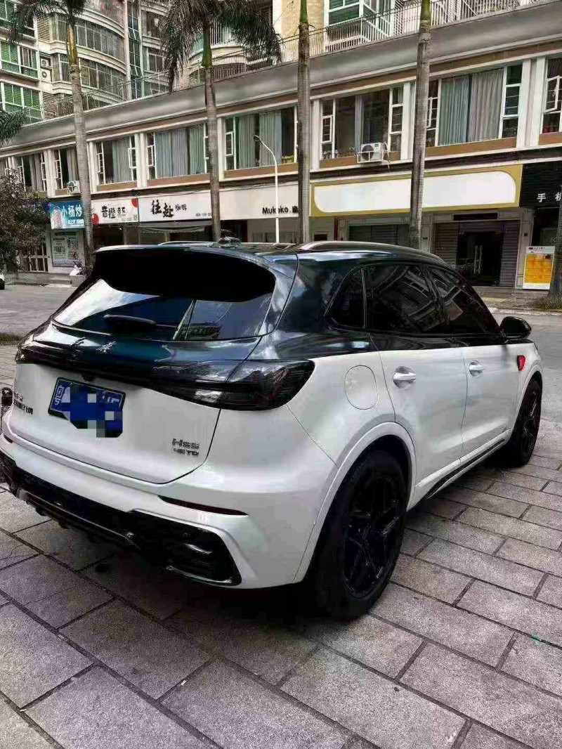 23年深圳红旗HS5