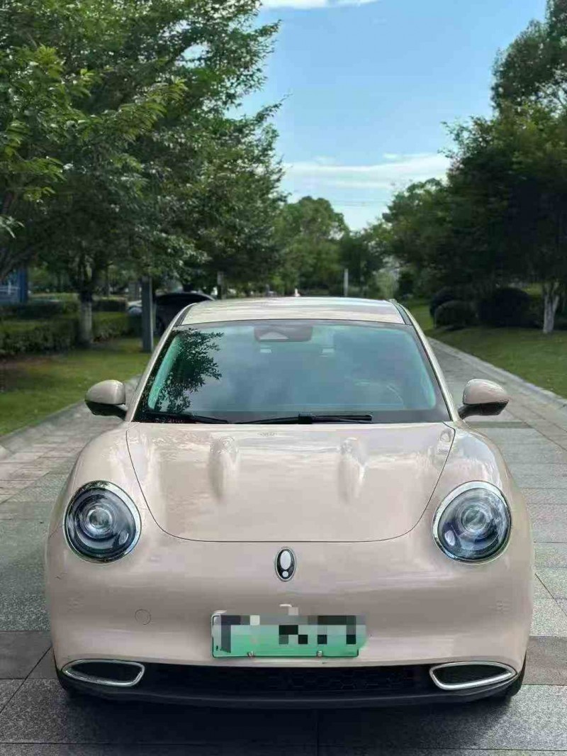 23年温州长城汽车欧拉