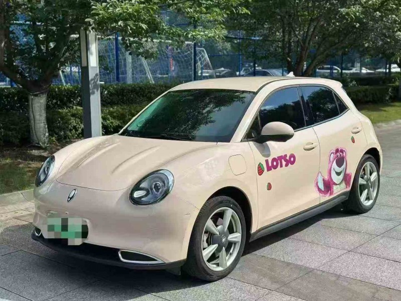23年温州长城汽车欧拉