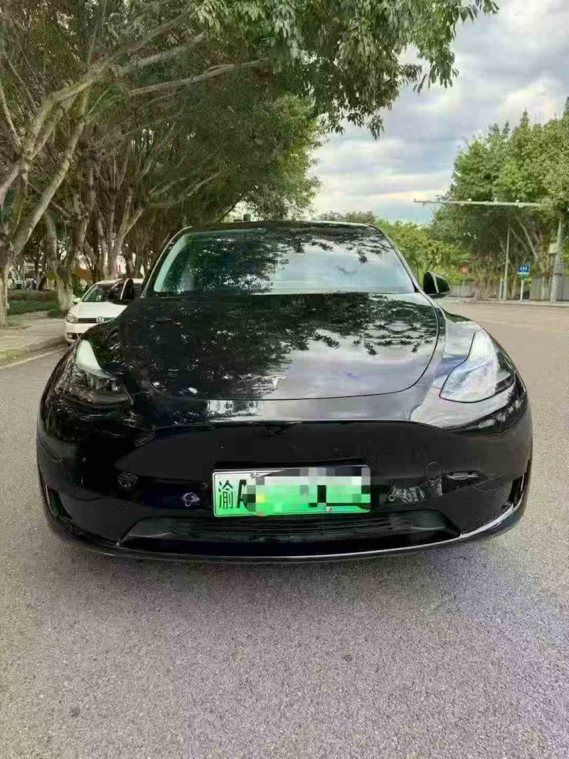 22年重庆市特斯拉MODEL Y