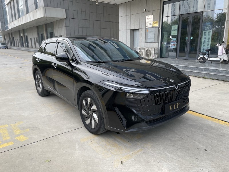 23年济宁启辰大V