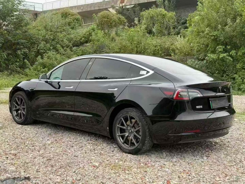 20年湘潭特斯拉MODEL 3