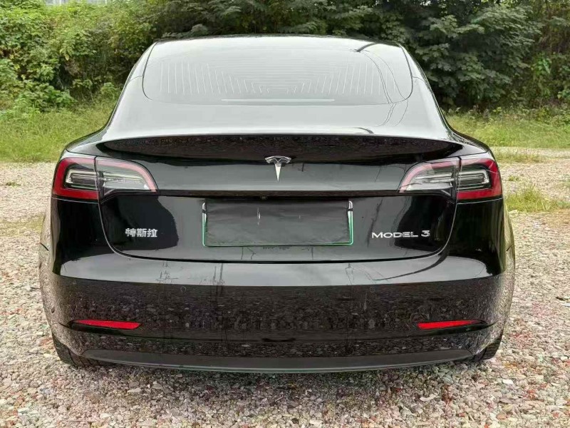 20年湘潭特斯拉MODEL 3