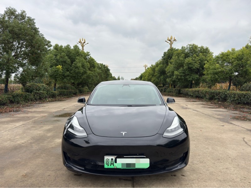 20年盐城特斯拉MODEL 3