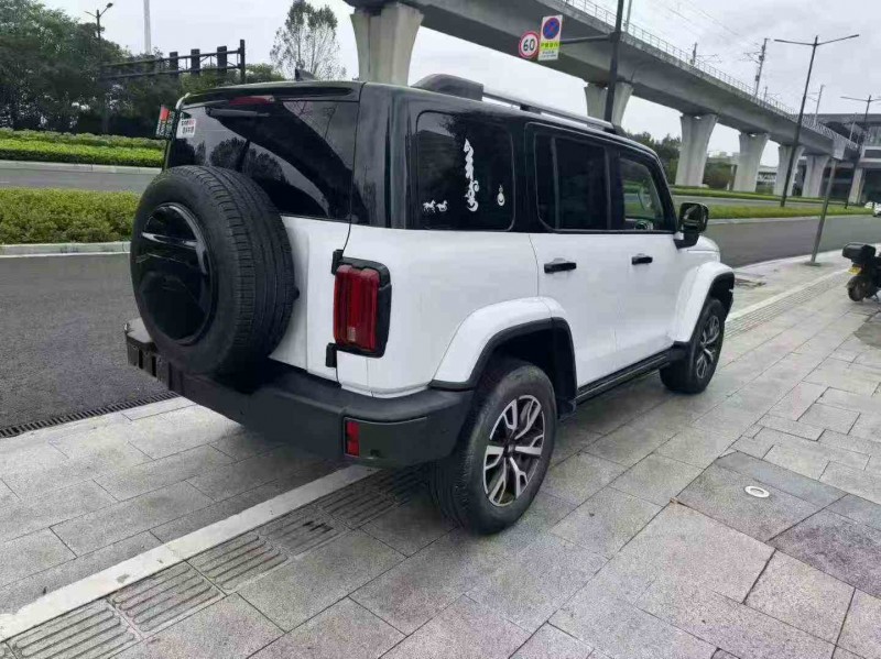 22年丽水长城汽车坦克300