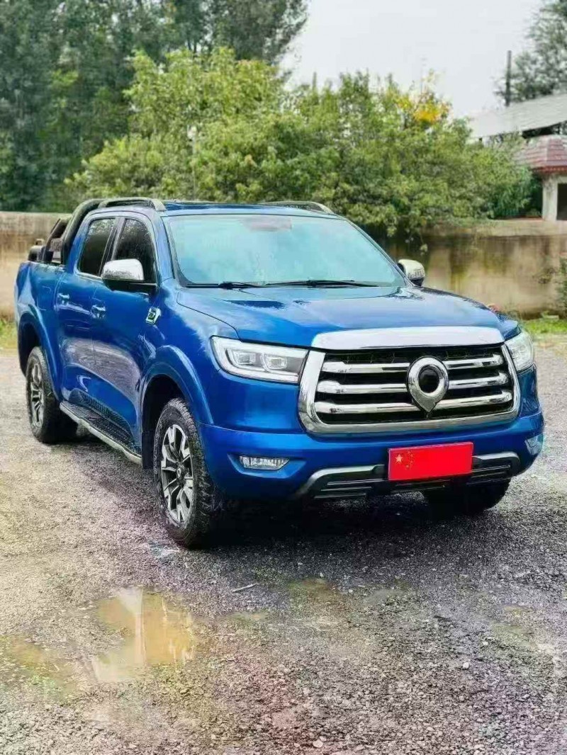 21年平顶山长城汽车炮 皮卡