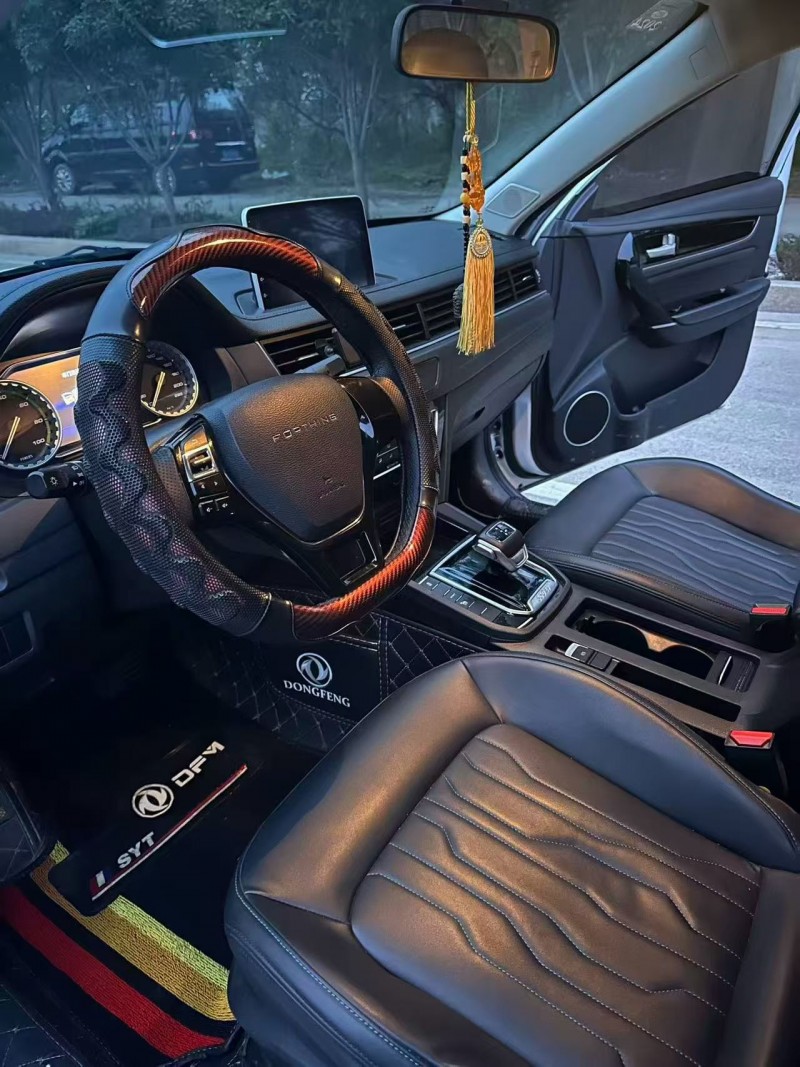 22年淄博东风风行游艇