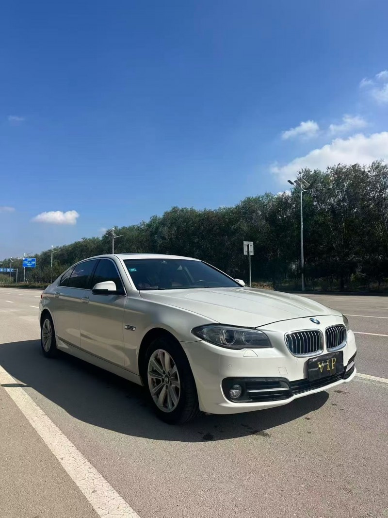 16年枣庄宝马5系