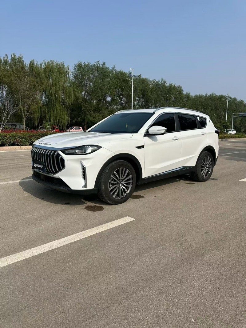 24年莱芜奇瑞捷途