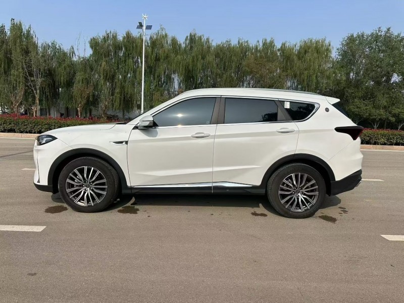 24年莱芜奇瑞捷途