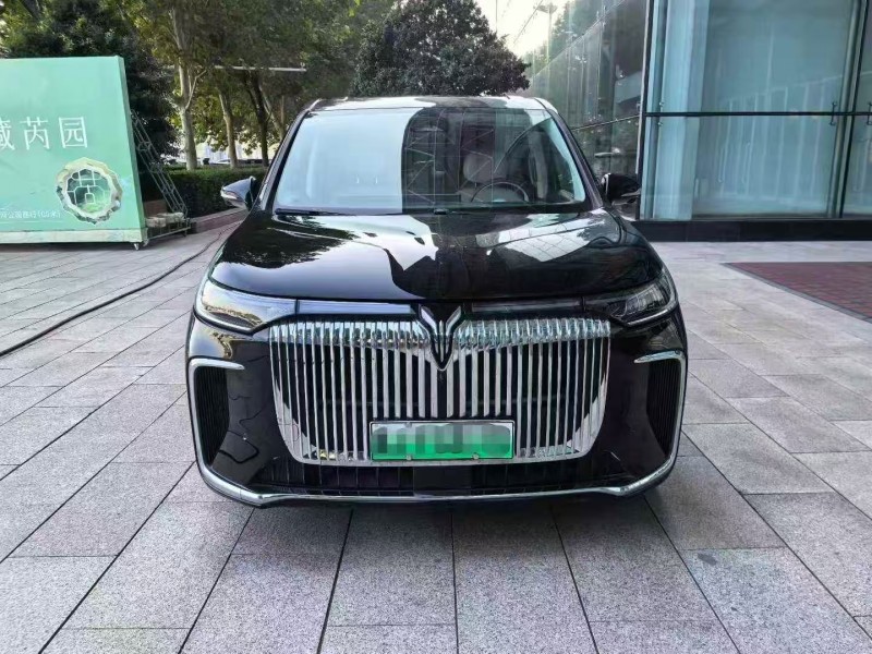 25年沧州岚图汽车梦想家