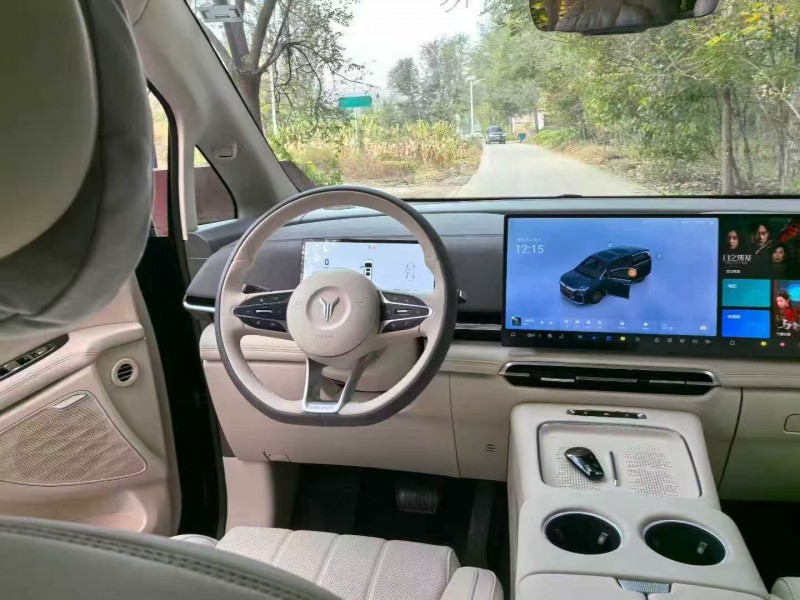 25年沧州岚图汽车梦想家