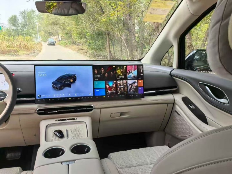 25年沧州岚图汽车梦想家