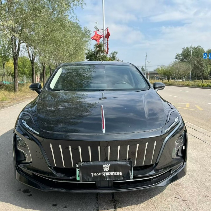 23年泰安红旗E-QM5